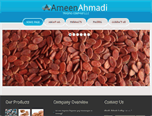 Tablet Screenshot of ameenahmadi.com